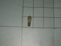 Refrigerator Lamp - 1020414 Bulb [Amica]